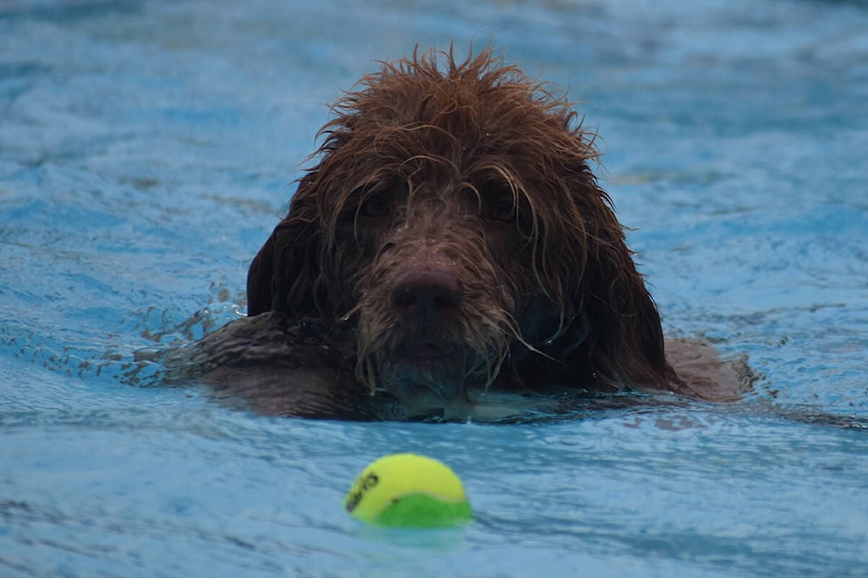 I’ve got my eye on you! Photo by Terry Farrell