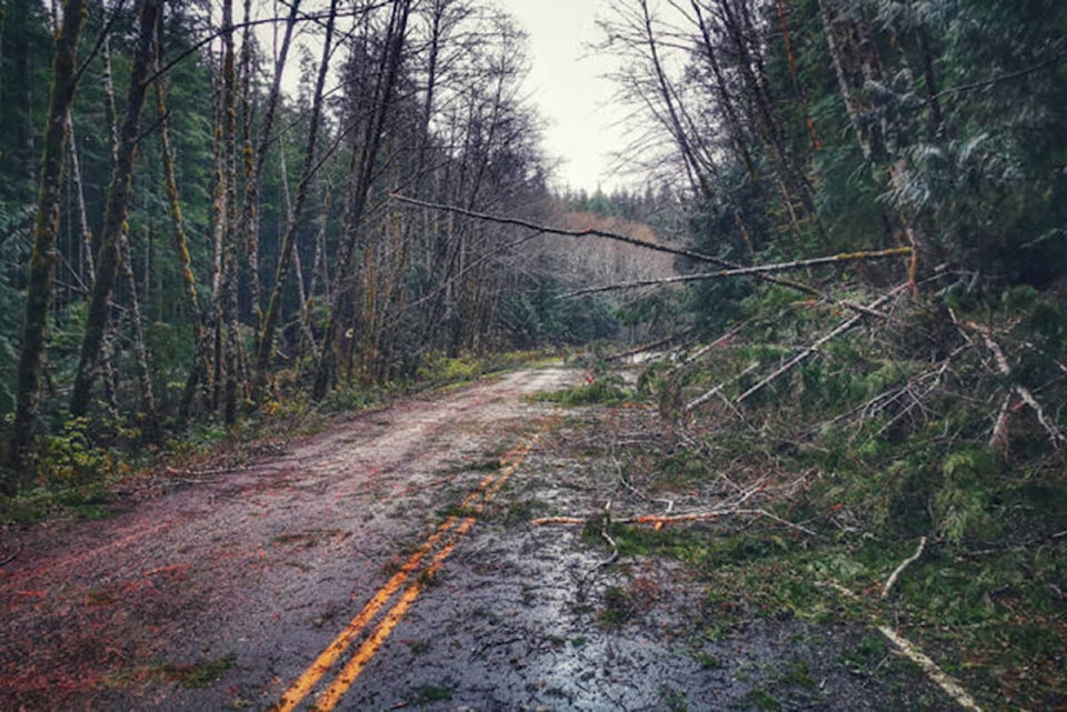 26888151_web1_211027-NIG-Wind-Warning-for-Northern-Van-Isle-PortAliceroad_1