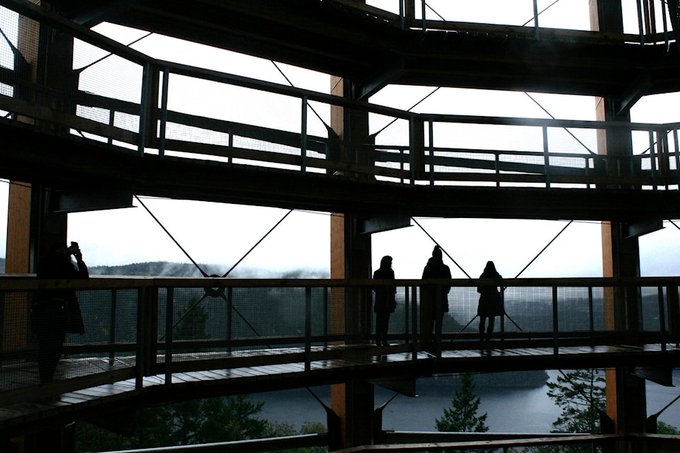 Patrons walking up the Malahat Skywalk. (Bailey Moreton/News Staff)