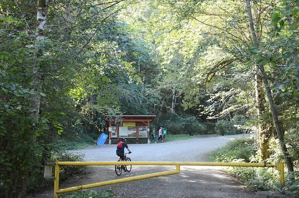 27539762_web1_190905-CVR-urban-forest
