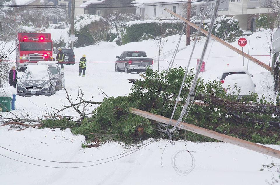 27749481_web1_220106-NBU-Tree-downs-utility-poles-_1