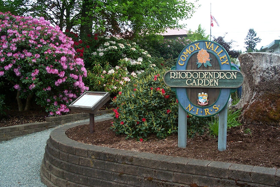 The Comox Valley Rhododendron Garden is at Cliffe Avenue on 20th Street.