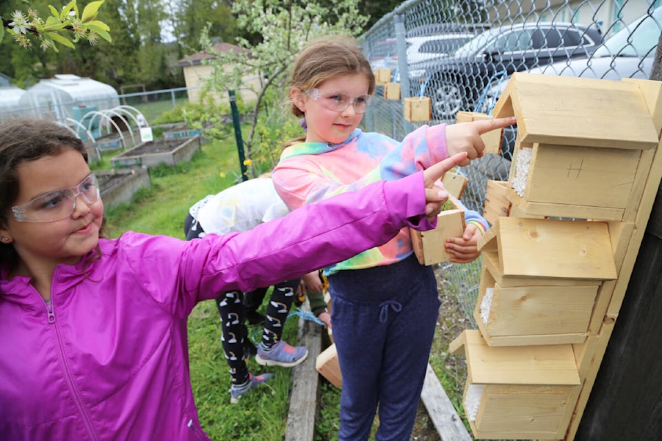Mea Williams and Maddison Maas point to the cocoons in the bee homes. Photo, SD71