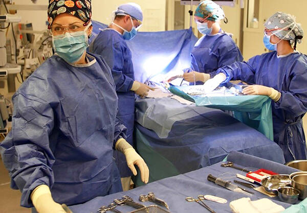 Last year the Comox Valley Healthcare Foundation purchased a brand-new fleet of orthopaedic instruments for the Operating Room thanks to support from the community.