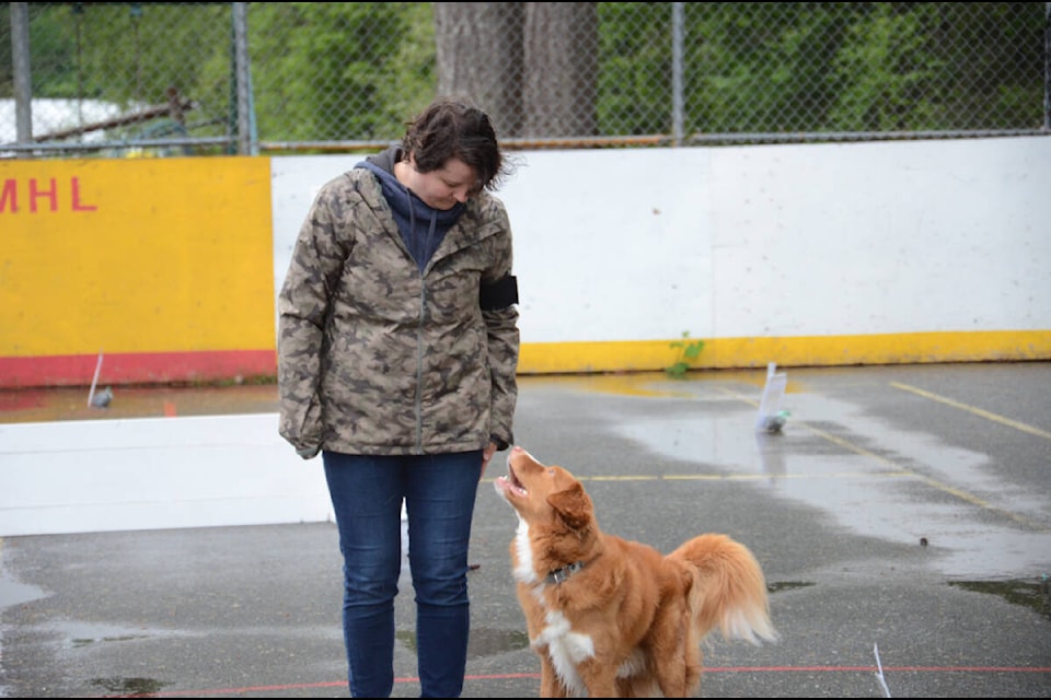 Rachel Thornton-Hughes maintains eye contact with her Nova Scotia duck tolling retriever at the Forbidden Plateau club’s obedience trials. Photo by Mike Chouinard