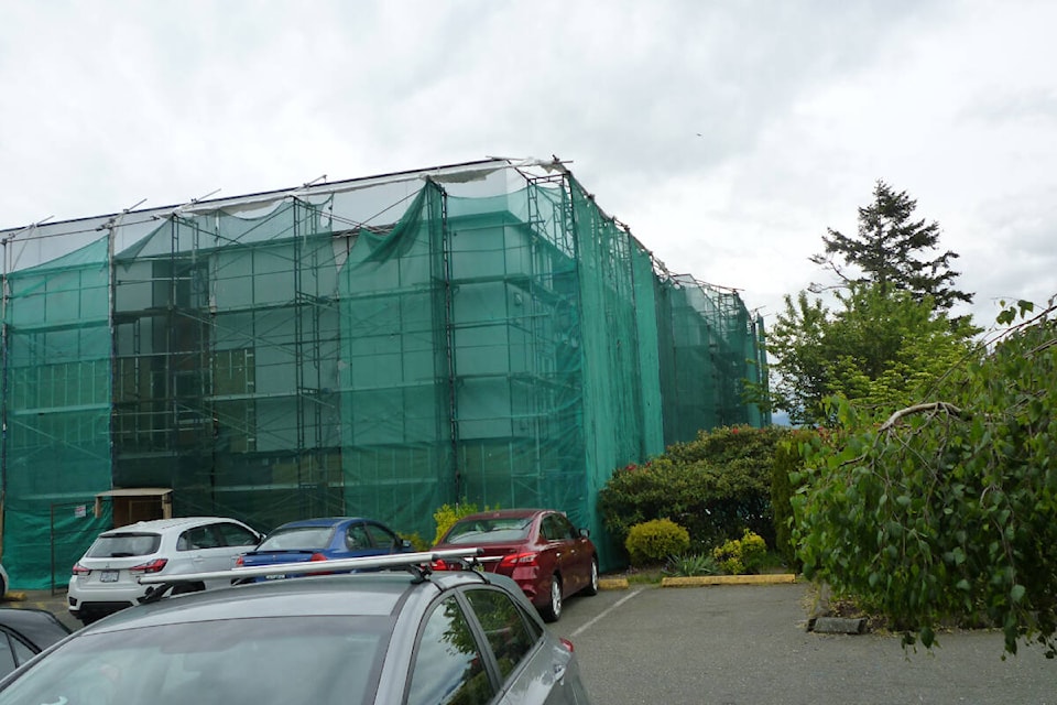 Quadra Gardens in Comox is shrouded in scaffolding and green netting, as major renovations take place. Photo by Jennifer Pass.