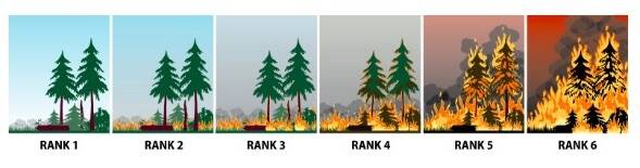 The Nohomin Creek blaze is displaying rank four and five behaviour (BC Wildfire)