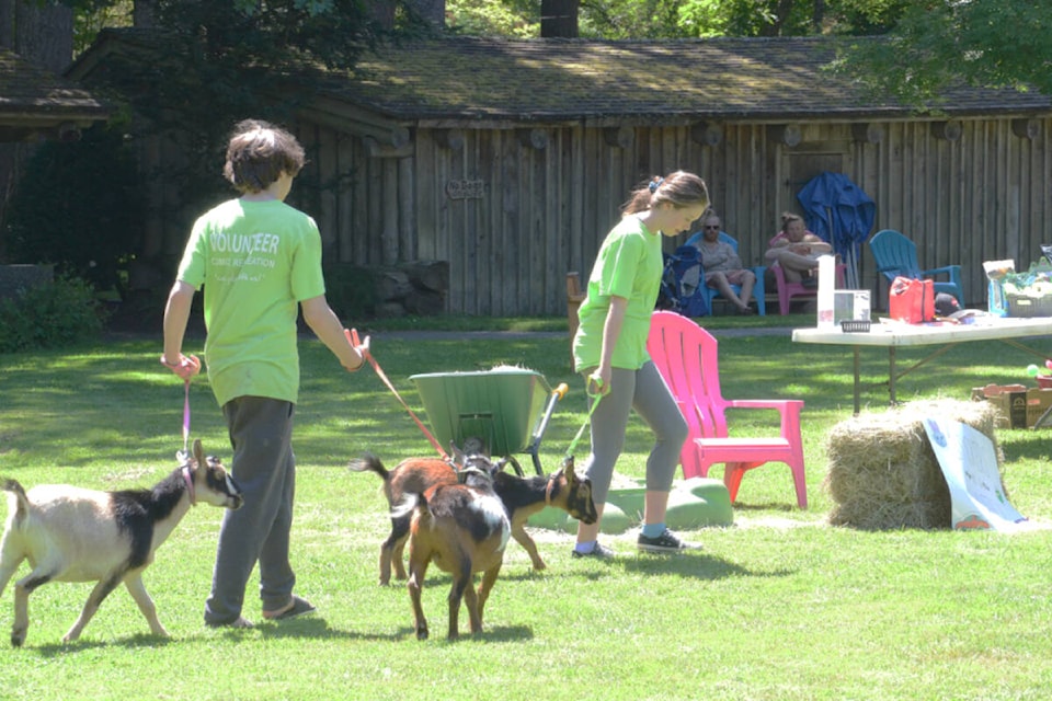 Volunteers Bryson Criss and Autumn Beauchamp take Jeffery, Slugs and Chuck for a walk around the Filberg grounds during the Hands On Farm’s annual Barnyard Fundraiser Saturday. Photo by Mike Chouinard