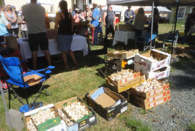30073027_web1_220817-CVR-Garlic-garlic_1