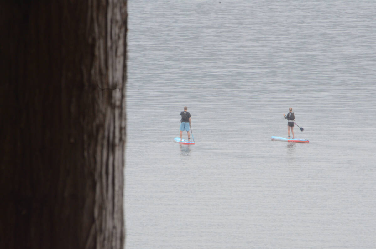 29753413_web1_220810-CVR-Summer-SUP-Comox-Lake