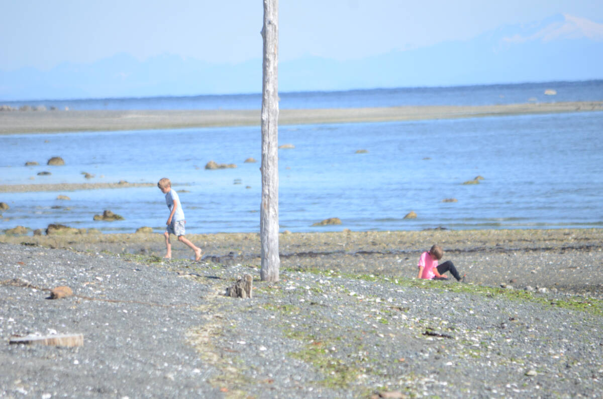 29753413_web1_220810-CVR-Summer-beach-Denman