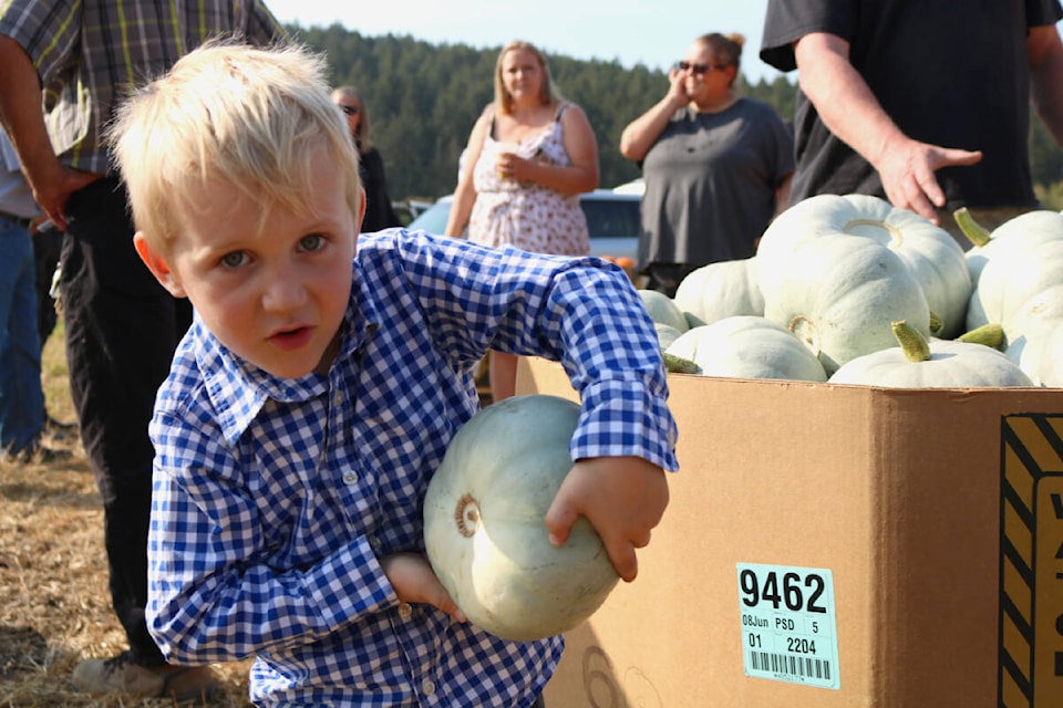 Blake Hinterberger picks out a blue pumpkin, part of the Mew Farm harvest. (Bailey Moreton/News Staff)