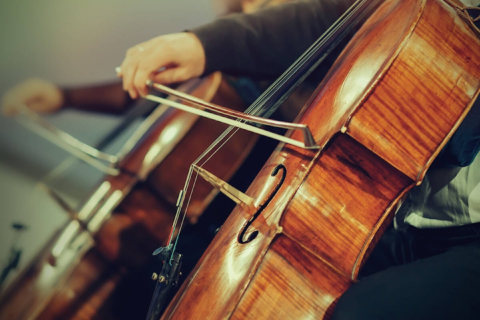 The Strathcona Symphony Orchestra presents a pair of shows in Courtenay in December. ADOBE STOCK IMAGE