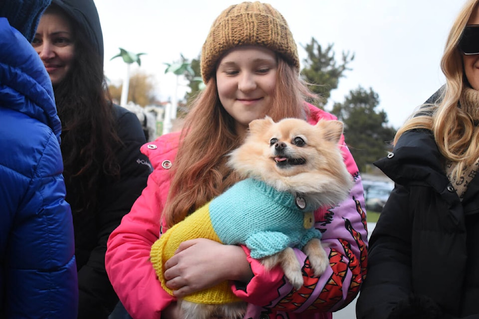 A young attendee holds a dog sporting a Ukrainian-flag-coloured sweater at the Comox Marina Park rally on the one-year anniversary of the Russian invasion of Ukraine. Photo by Terry Farrell