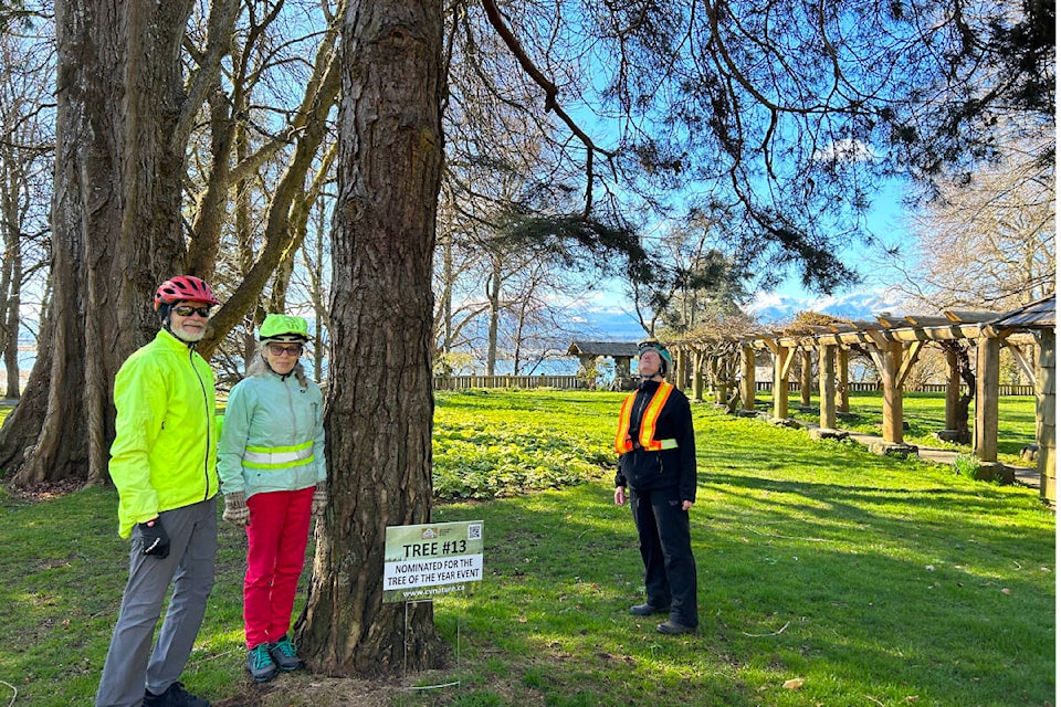 32352077_web1_230412-CVR-C-Treeoftheyear-1_1