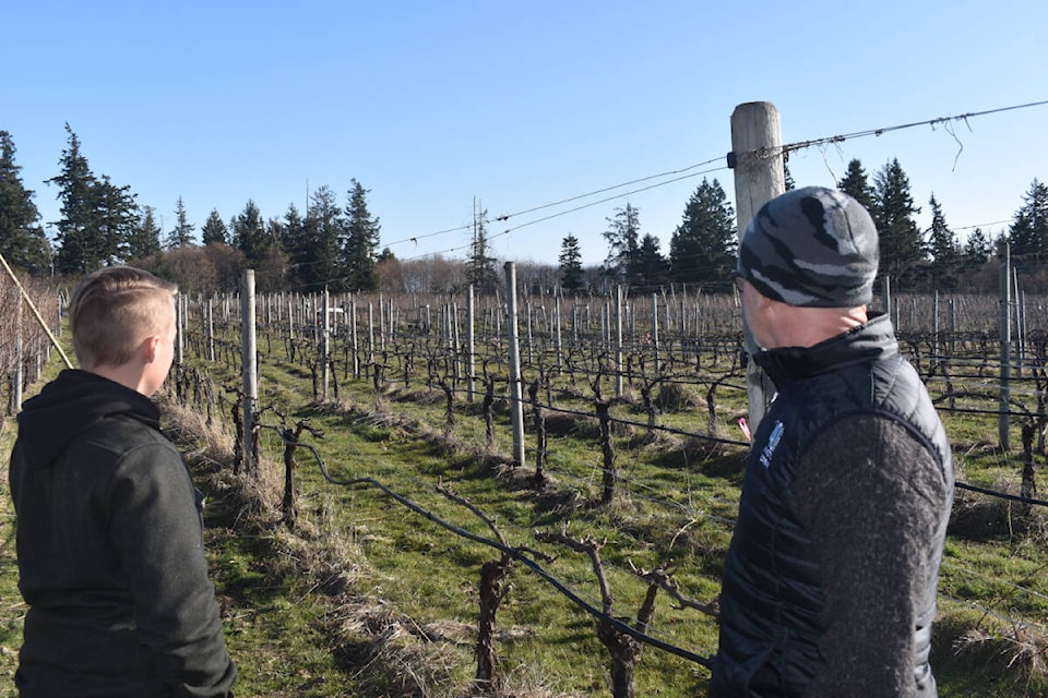 40 Knots Winery co-owner Layne Craig (right), and the winery’s sustainable farming analyst, Tori Durrett, inspect the vines on a spring morning. Photo by Terry Farrell