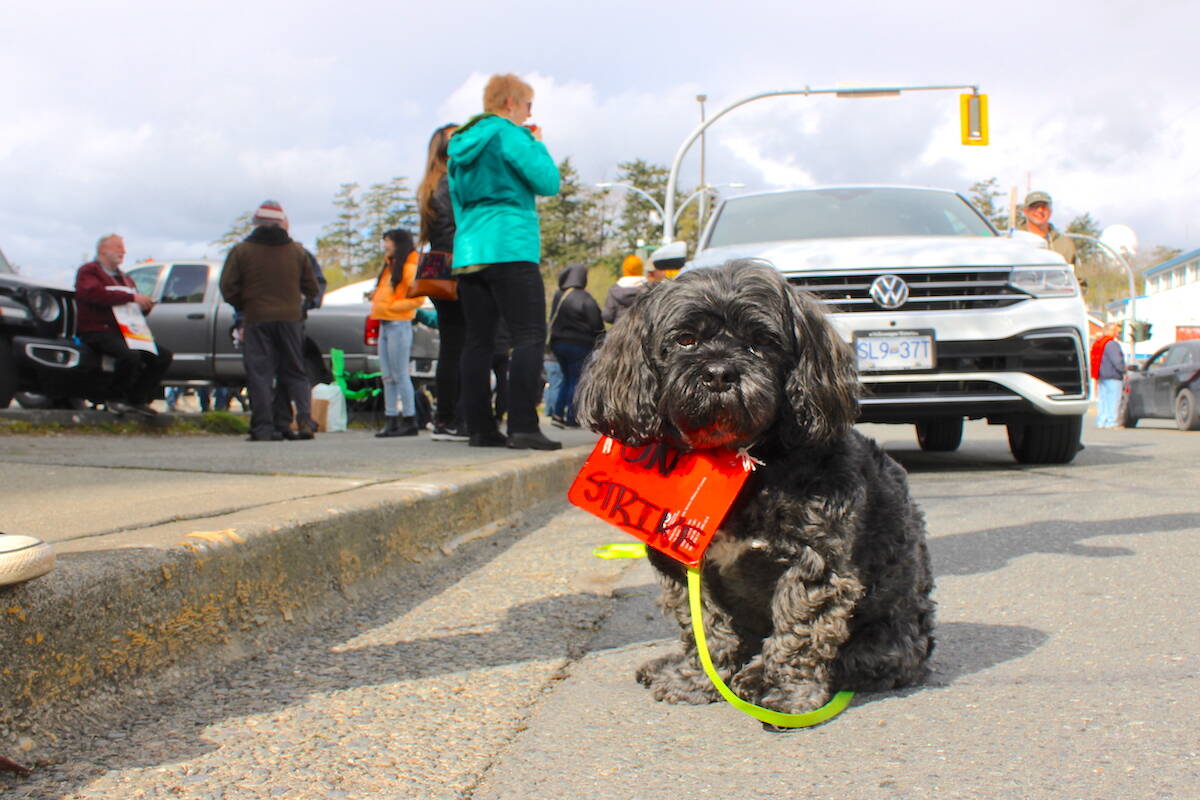 Federal civilian workers involved in CFB Esquimalt operations picketed outside the Greater Victoria naval base on April 19 as nationwide strike actions followed a missed deadline for a new deal to be struck. (Jake Romphf/News Staff)