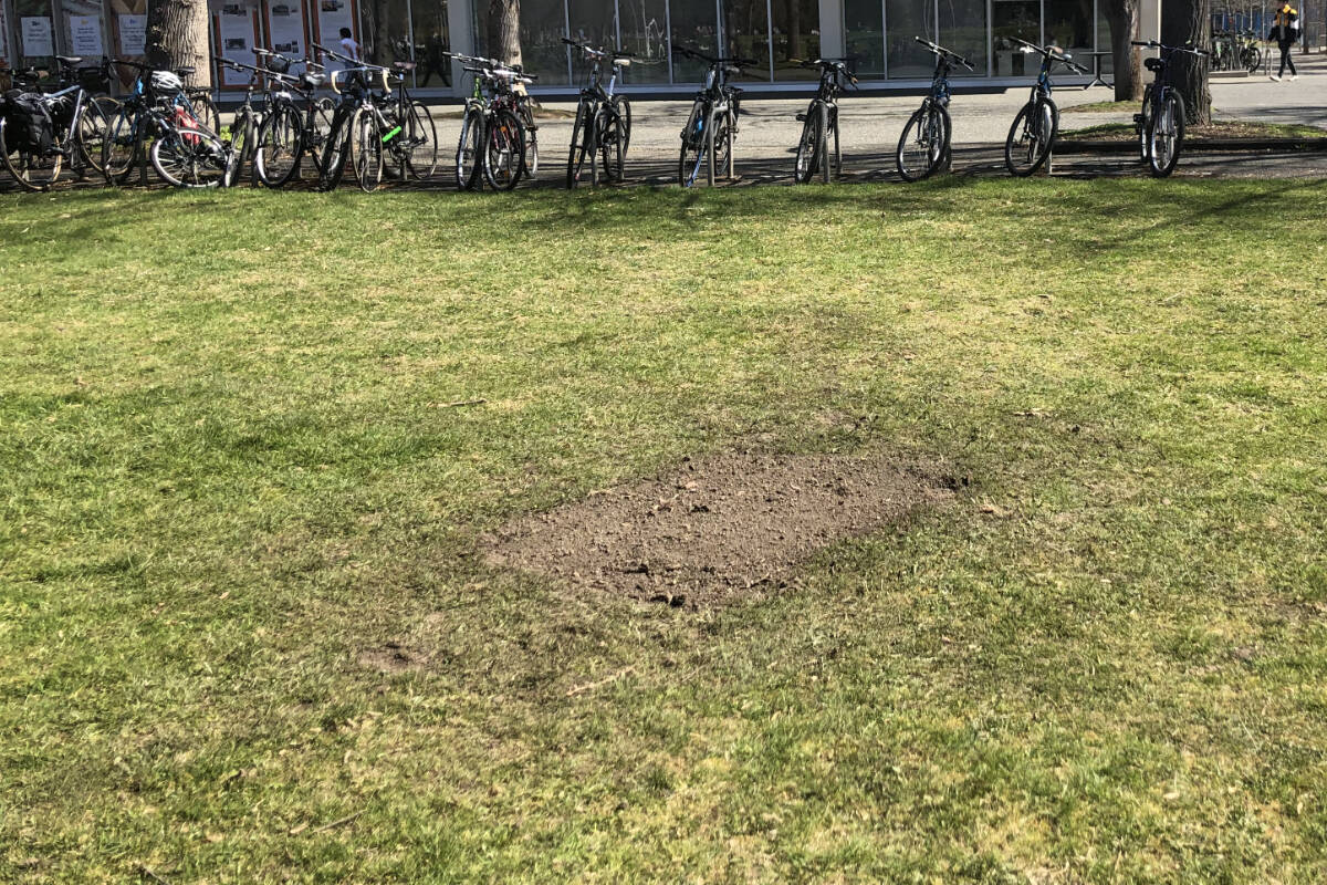 The garden was removed and returned to a patch of dirt just a few days after it was planted. (Courtesy of Shay Ogurek)