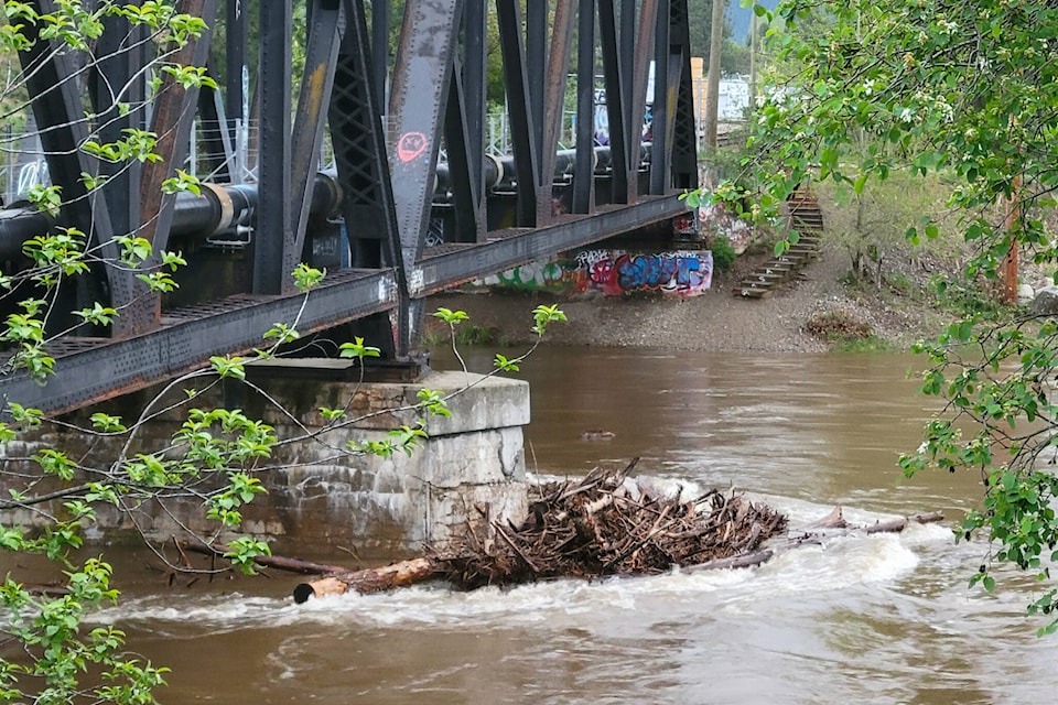 The Kettle River rages under the Black Train Bridge on Kettle River Drive in Grand Forks last Friday evening. photo Chris Hammett