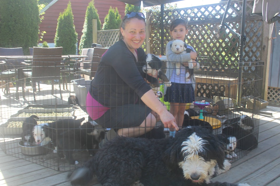 Melissa Pearce and her daughter Abigail pose with their dog Millie and 10 of the 16 puppies she birthed in Mission six weeks ago. Six puppies have already been adopted. /Dillon White Photo