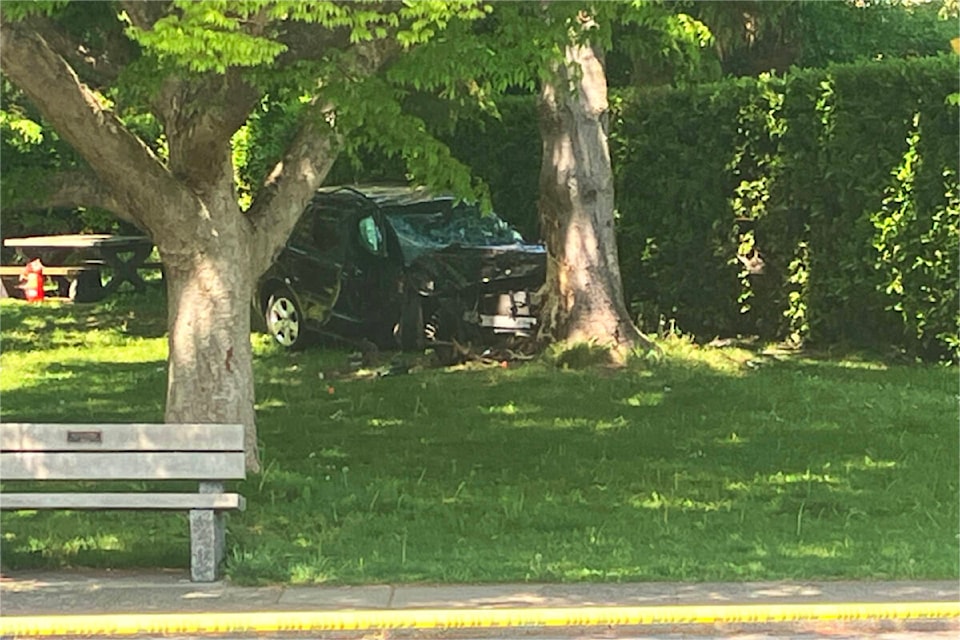 A 52-year-old public works employee has died in Oak Bay after being struck by an SUV. (Christine van Reeuwyk/News Staff)