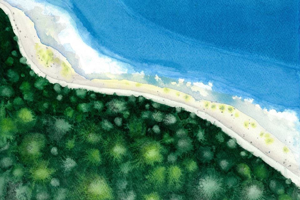 HAIDA GWAII - Forest Meets Ocean is one of the Alora Griffin pieces on exhibit at the next Pearl Ellis Gallery show, May 30-June 17 at 1729 Comox Ave. in Comox.