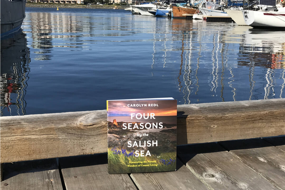 Carolyn Redls Four Seasons by the Salish Sea: Discovering the Natural Wonders of ̨MM Living is part travelogue, part natural history and altogether an enchanting book exploring life over the course of a year by the Salish Sea. Heritage House photo
