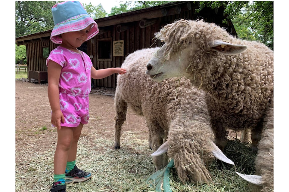 32891548_web1_230607-CVR-N-HandsonFarm-1_1