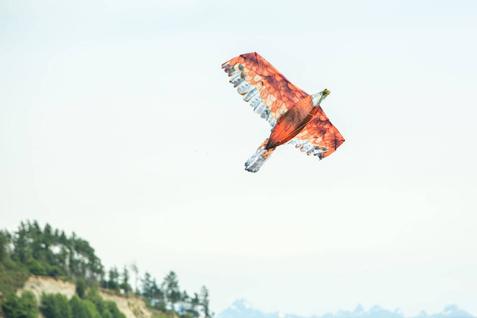 32976881_web1_230614-CVR-N-nokites-1_1
