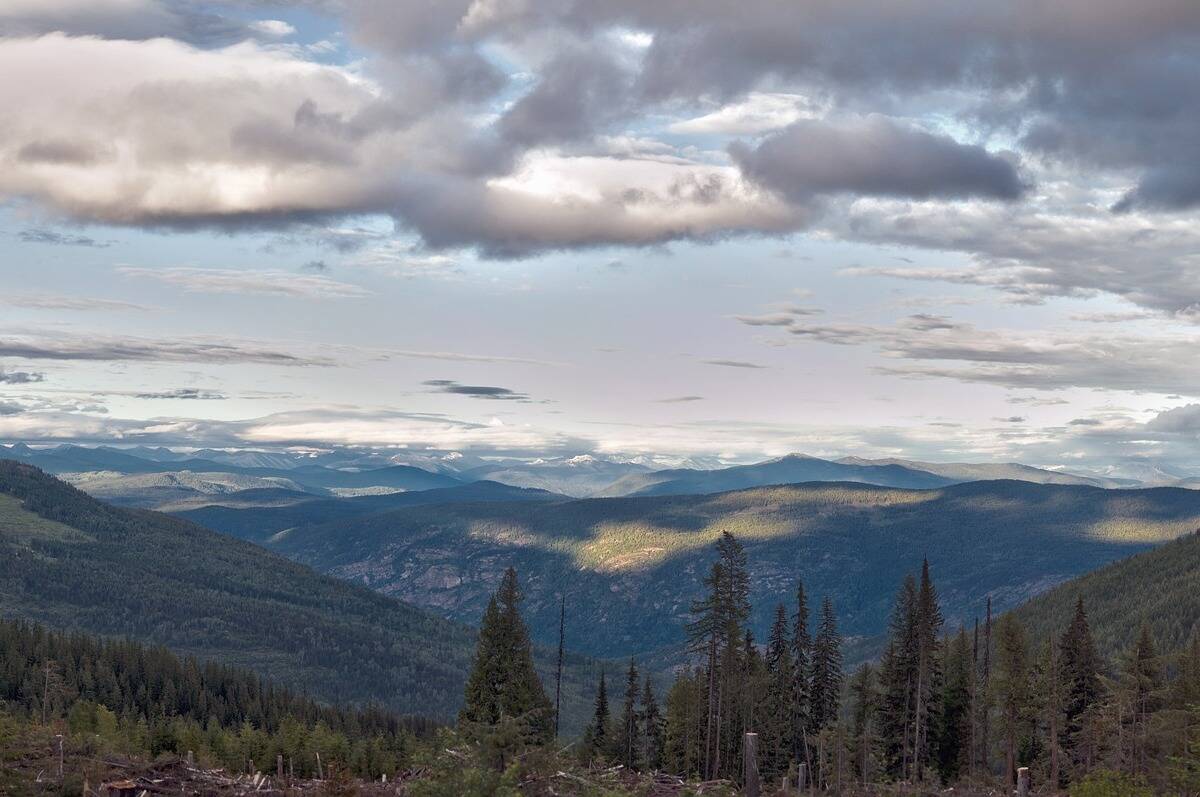 Environment Canada issues special weather statement for much of B.C