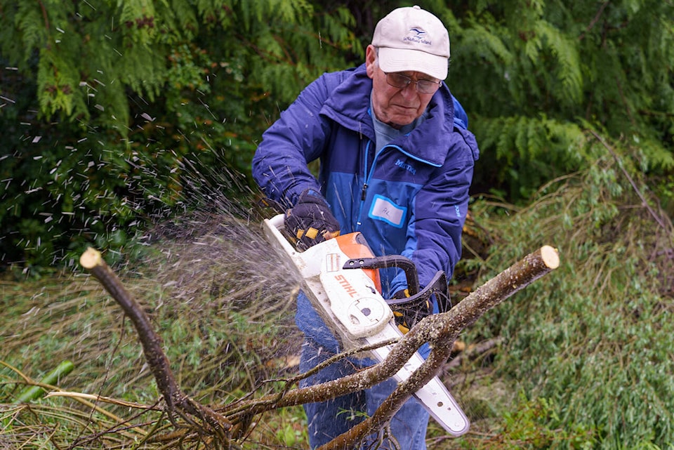 33269099_web1_Chainsaw