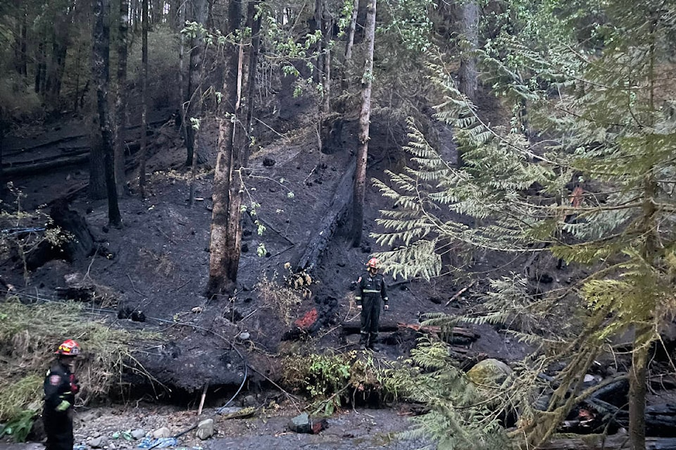 33344334_web1_230719-AVN-Dry-Creek-fire-DryCreek_1