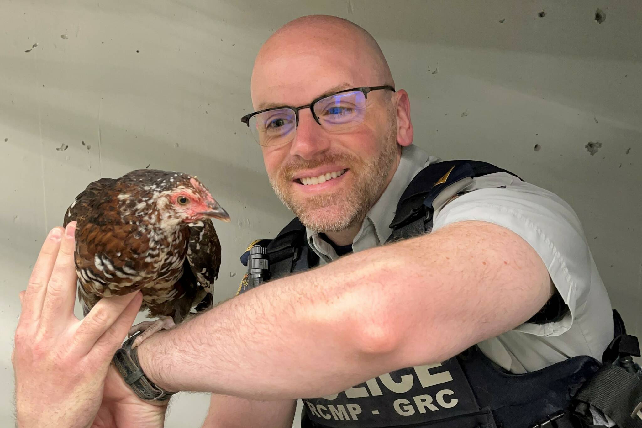 33442491_web1_230628-BPD-chicken-coquitlam_1