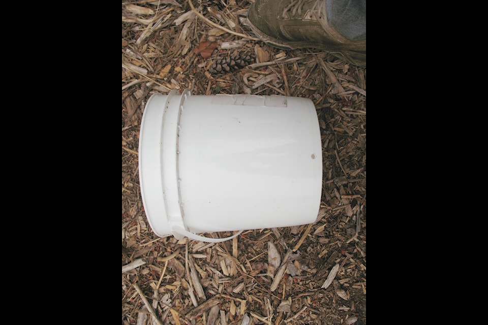 An example of a bucket with a hole drilled into the side for fertigation.
