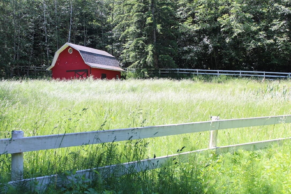 web1_200806-ifd-vi-file-photos-east-sooke-barn_1