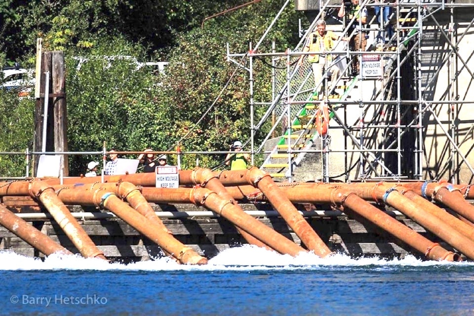 18579554_web1_190918-cci-m-18482299_web1_190911-cci-m-bhetschko-wier-ready-7399