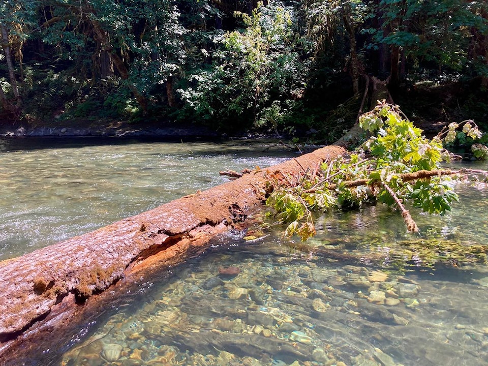 525197322_1147088054132164_8657970012594235201_n