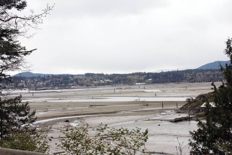 cowichan-estuary