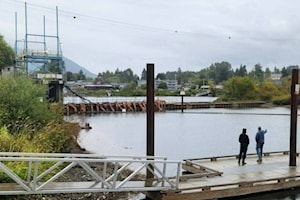 Recent rain prompts small rise in Cowichan Lake's water levels