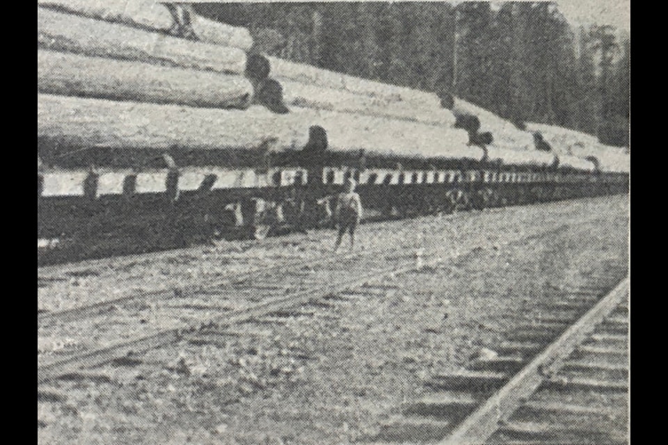 "Market bound harvest of fine timber sits on rail cars in Lake Cowichan in picture dating back to about 1914. Railway glory-days were limited, however."  	
Description
"Market bound harvest of fine timber sits on rail cars in Lake Cowichan in picture dating back to about 1914. Railway glory-days were limited, however." (Lake News/ Feb. 6, 1985) 