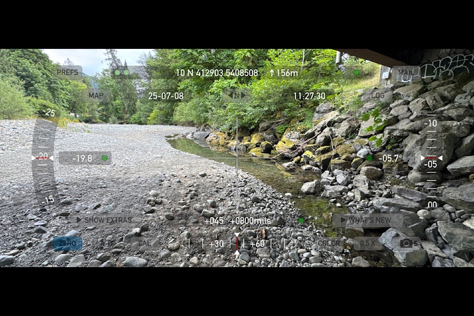 Dropping water levels in the Cowichan Lake watershed is raising concerns for fish survival. (Submitted photo)