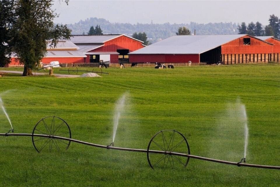 farming