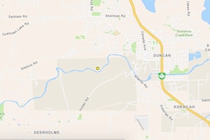 Wildfire along Cowichan River being held