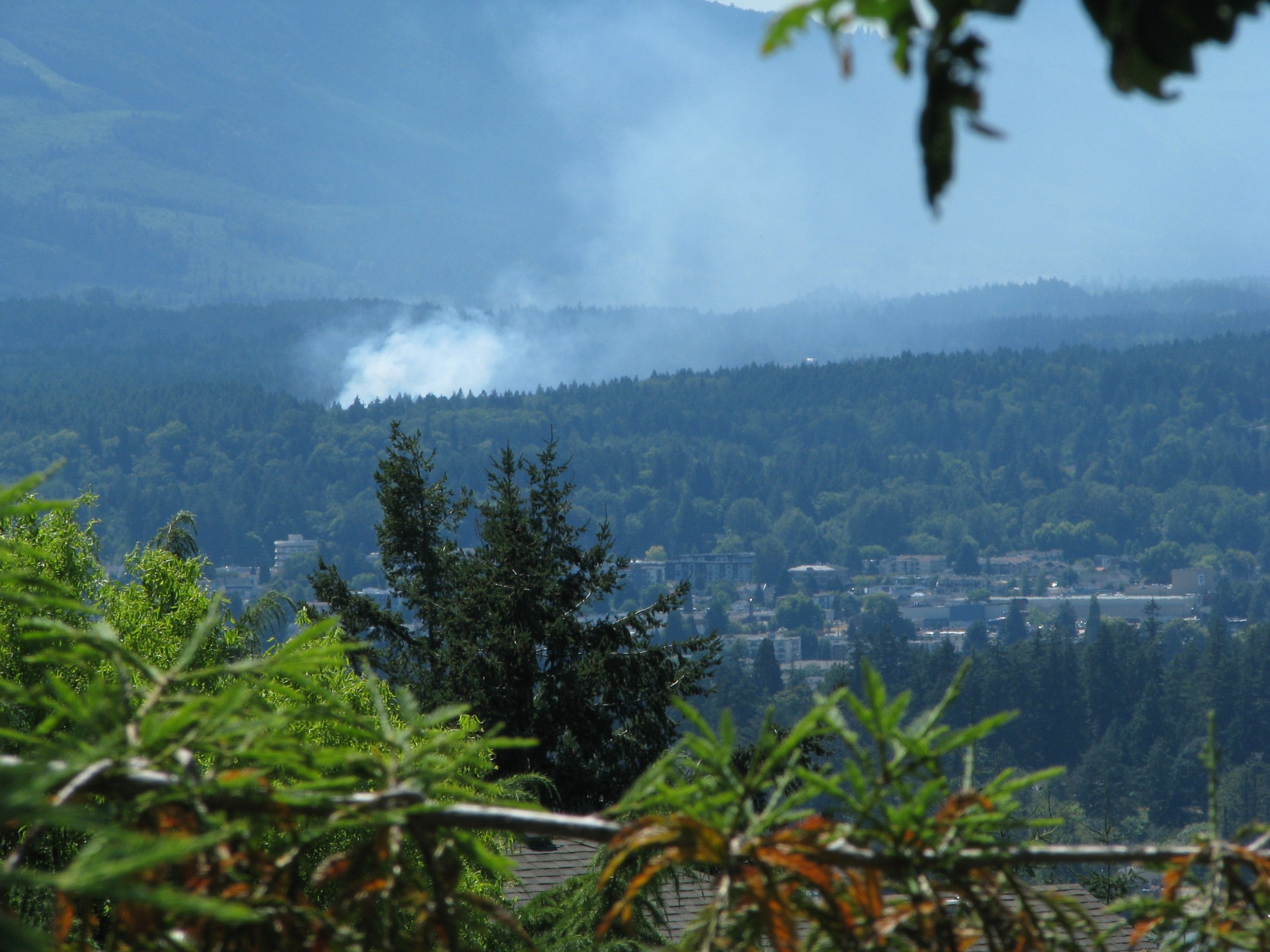 Mop-up underway of small wildfire along Cowichan River