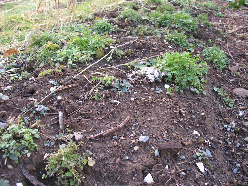 march20lowther