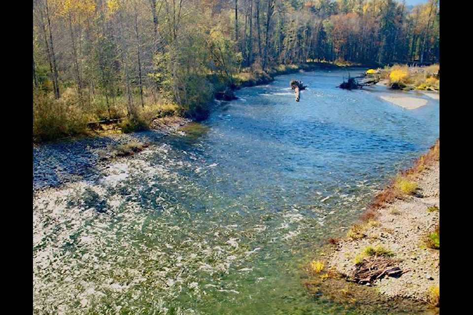 The Cowichan River has changed course in a more than 600-metre section between Little Beach and Skutz Falls. (Citizen file photo)