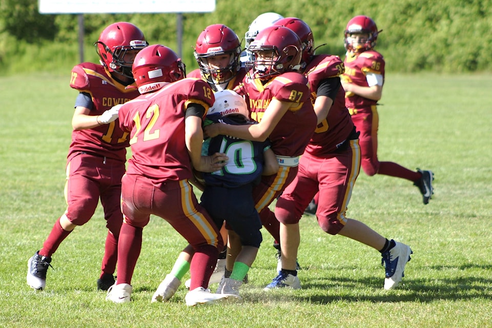 peewee-bulldogs