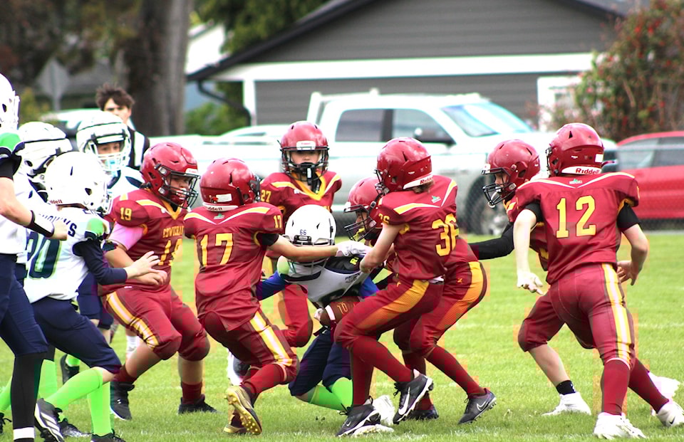 pw-bulldogs