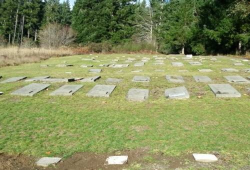 Old Hillcrest Chinese Cemetery eyed for designation as CVRD historical site