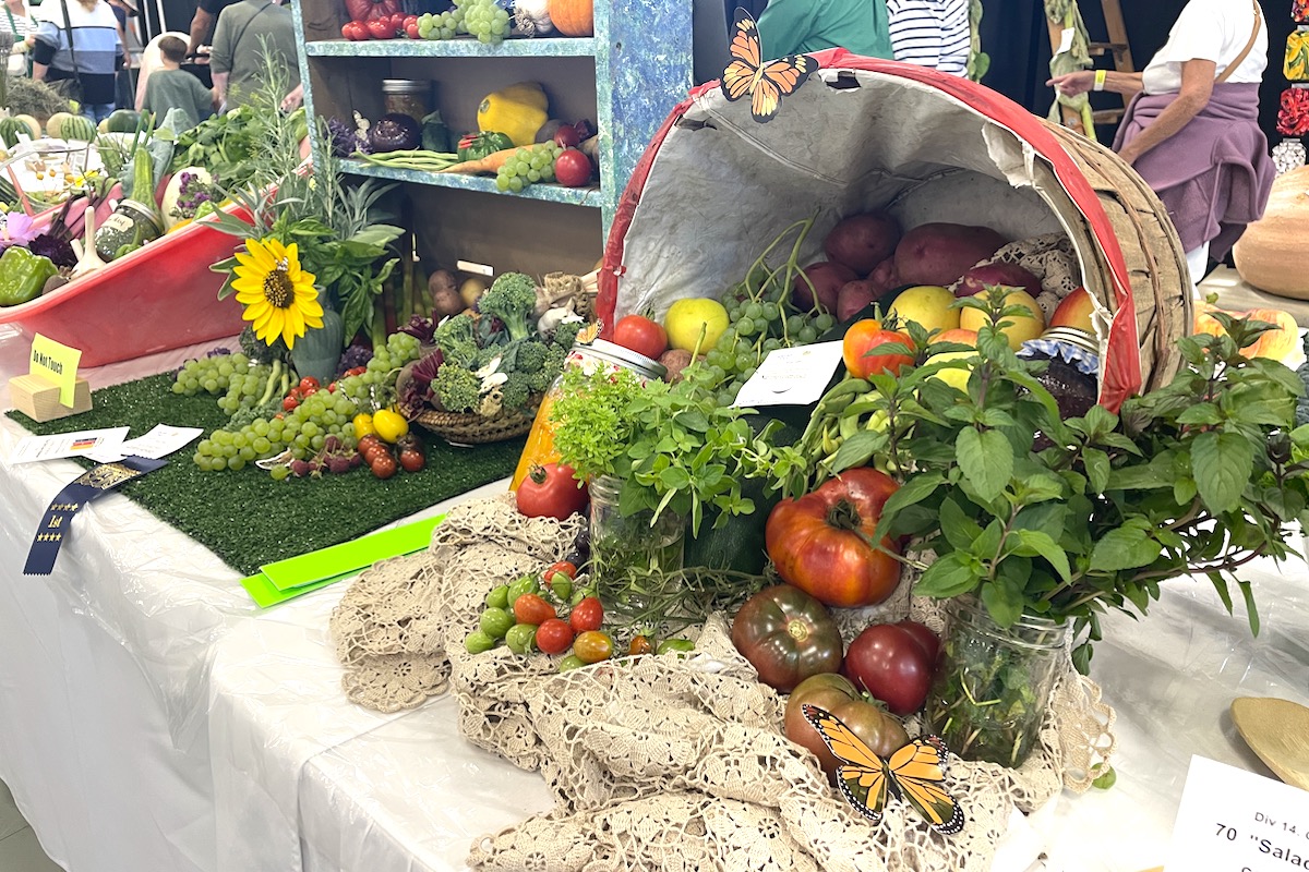 Cowichan Exhibition 2025 thrills crowds in 157th year